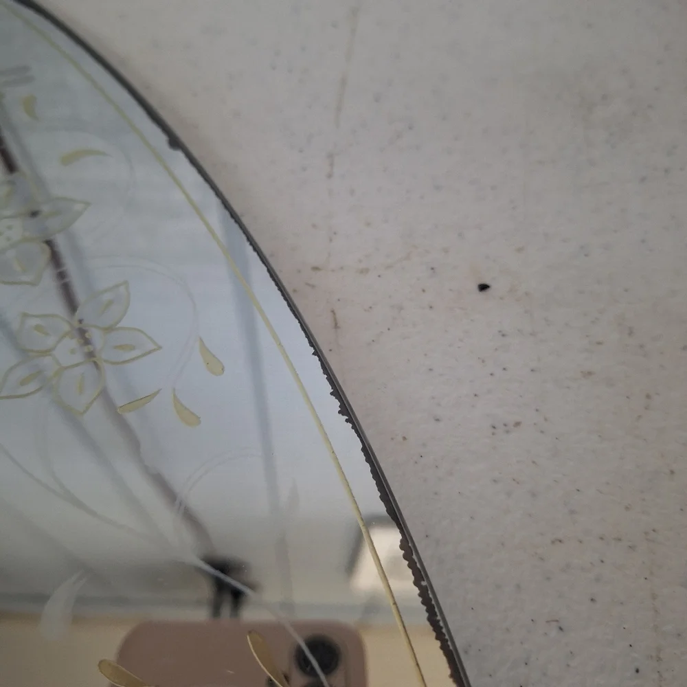 Round Decorative Wall Mirror with Floral Design